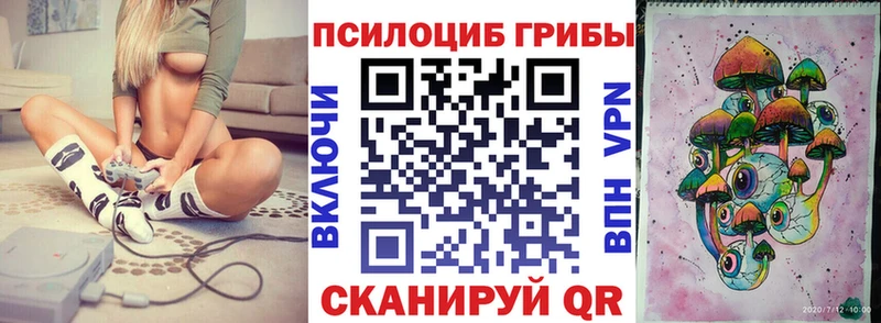 Галлюциногенные грибы Psilocybine cubensis  купить наркоту  Карабаш 