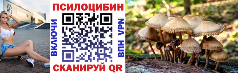 Псилоцибиновые грибы Psilocybine cubensis Карабаш